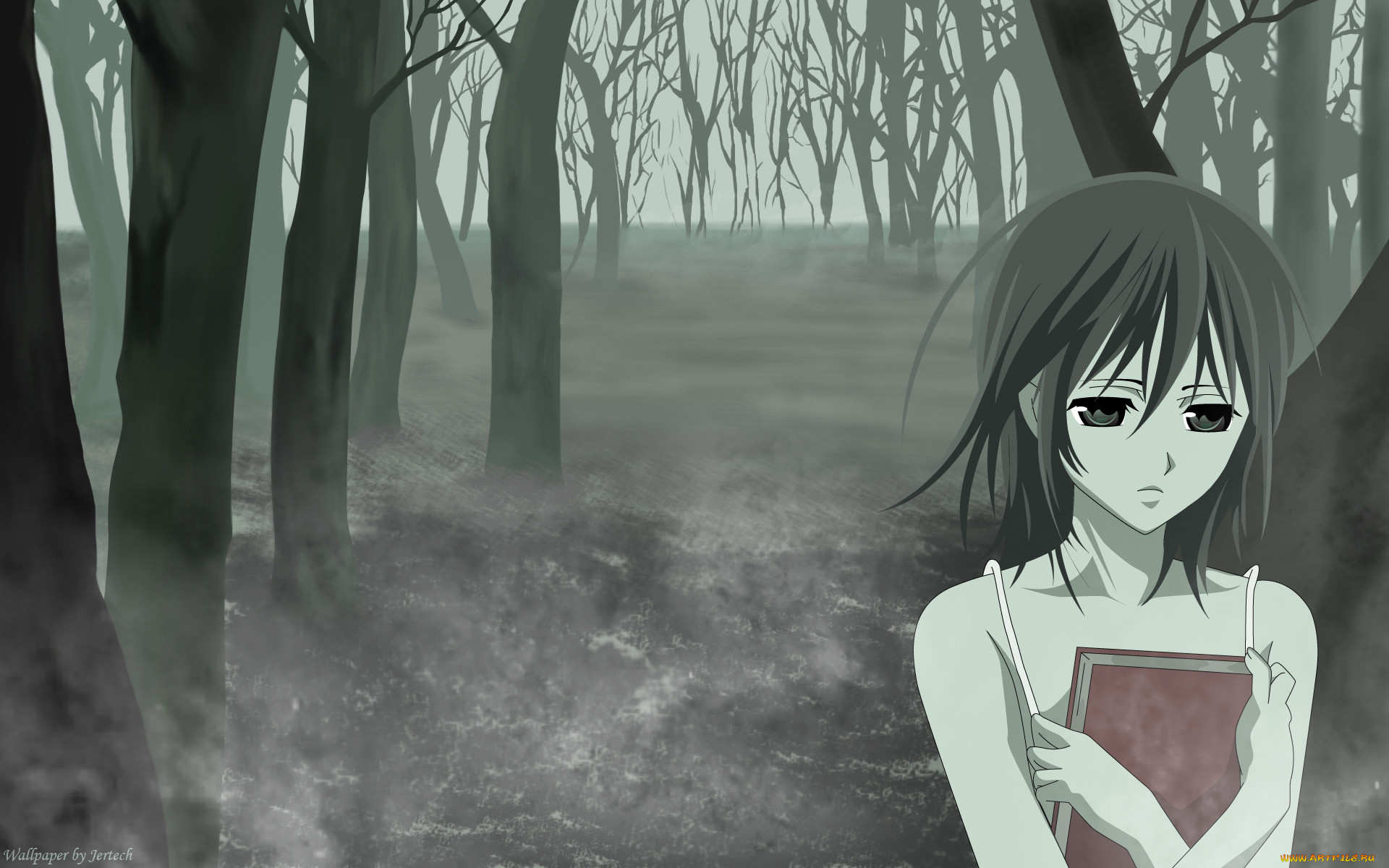 , vampire knight, yuuki, cross, jertech, , , , , 